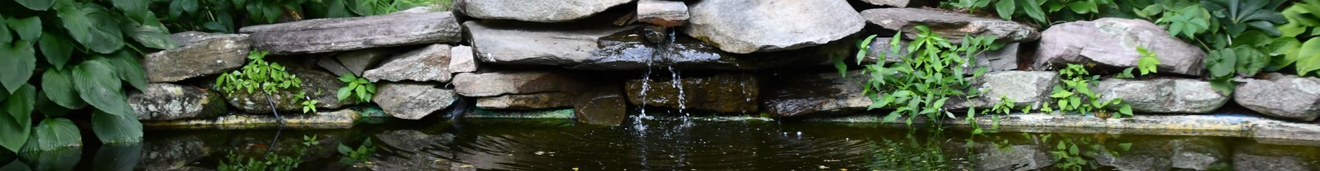 Shutterstock 1964424241